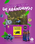 Bluberry Concetrate
